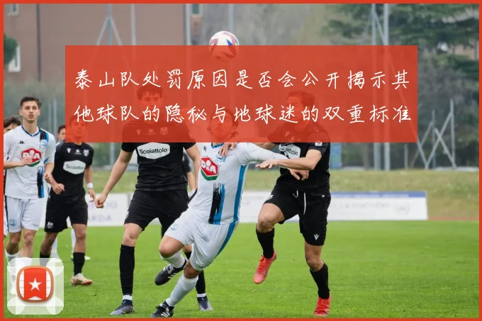 泰山队处罚原因是否会公开揭示其他球队的隐秘与地球迷的双重标准